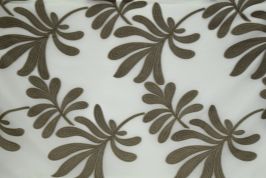 Frondescence 6551