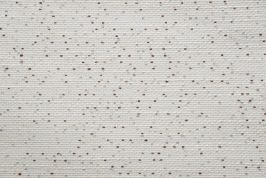 Sparkle 8281